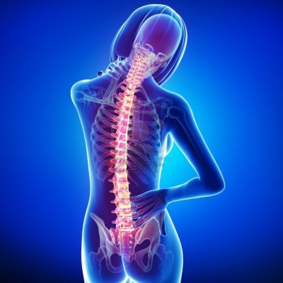 Skeleton of Person with Back Pain